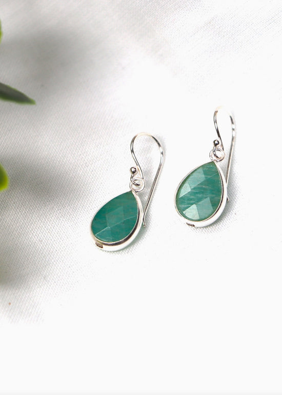 Shallow Shores Hook Earrings